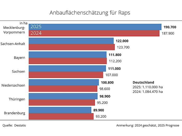Rapsprognose Statistisches Bundesamt