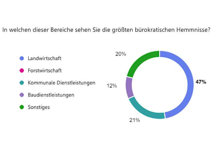 größte bürokratische Hemmnisse